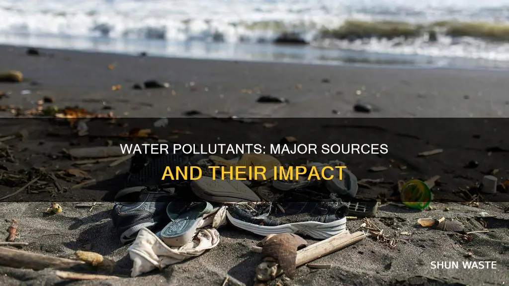 what are the major water pollutants and their sources