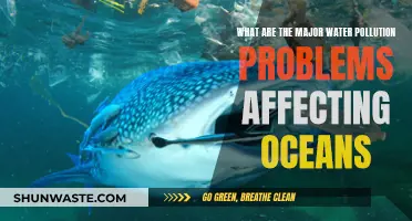 Ocean Pollution: Major Water Contamination Issues