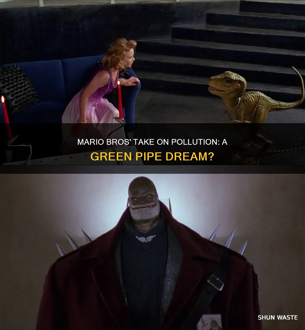 what are the mario bros views on pollution