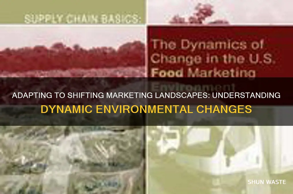 what are the marketing environment changes each time