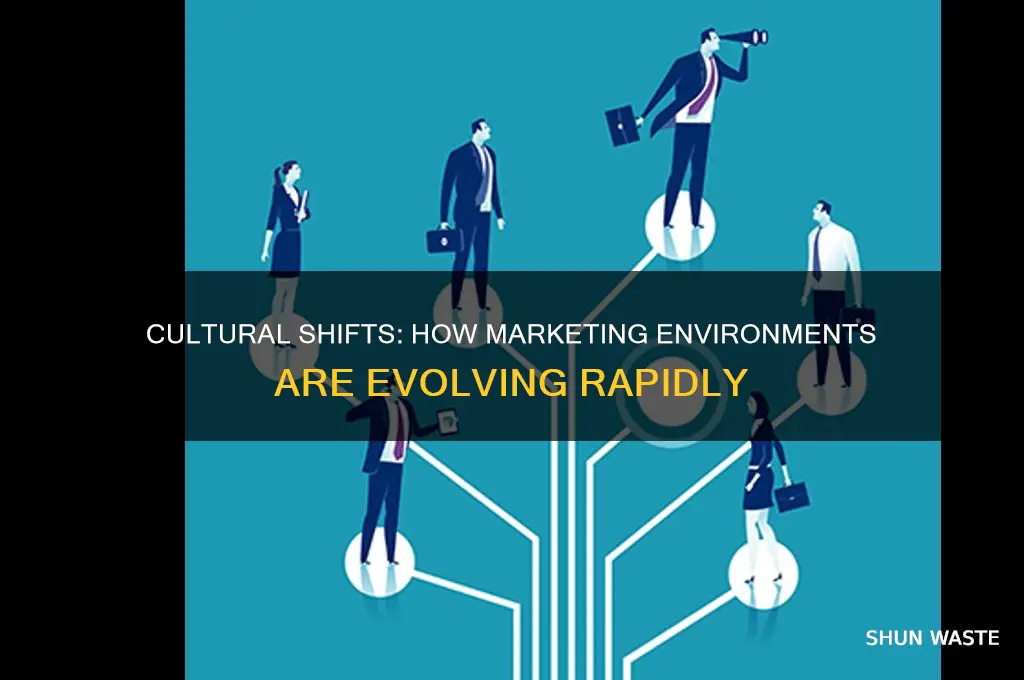 what are the marketing environment changes in culture