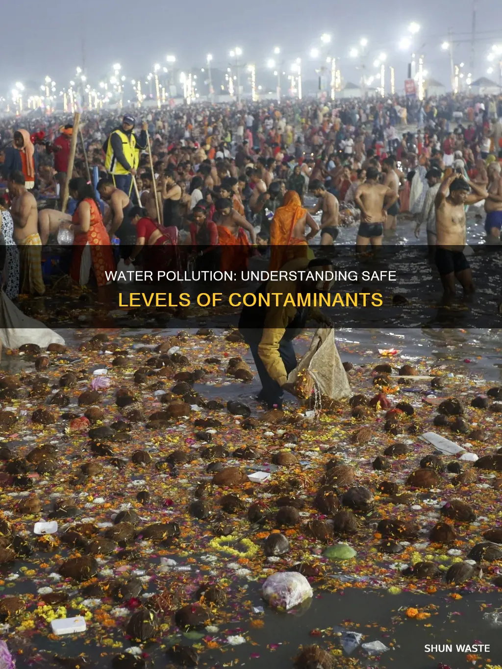 what are the maximum levels of pollutants allowed in water