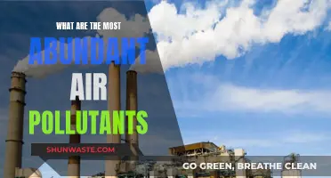Air Pollutants: The Most Common Toxins We Breathe