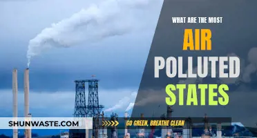 Air Pollution's Worst Offenders: States Ranked