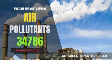 Air Pollutants: The Most Common Toxins Affecting Our Health