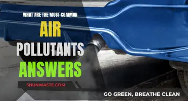 Air Pollutants: Common Culprits and Their Sources