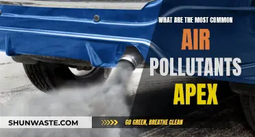 Air Pollutants: Apex's Most Common Contaminants