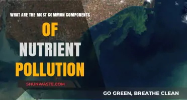 Nutrient Pollution: Common Components and Their Harmful Effects