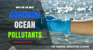 Ocean Pollutants: Understanding the Most Common Offenders