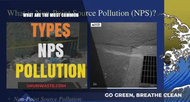 Understanding the Main Types of NPS Pollution