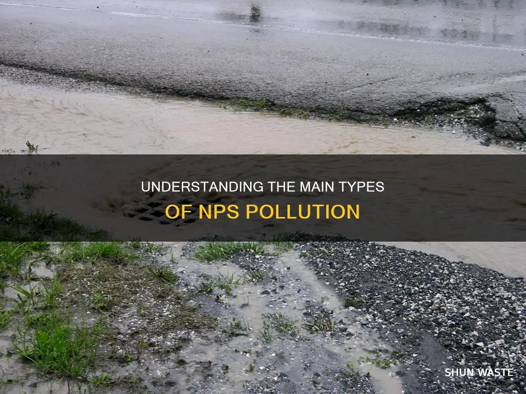 what are the most common types nps pollution