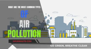 Air Pollution: Understanding the Most Common Types
