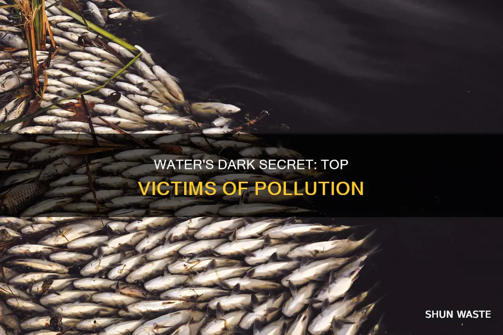 what are the most commonly killed animals water pollution