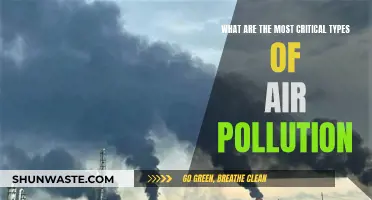 Air Pollution: Most Critical Types Revealed