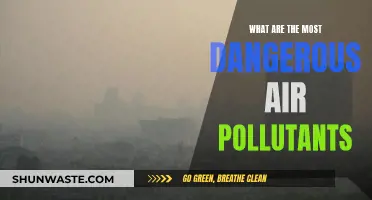 Deadly Air: Pollutants That Threaten Our Health