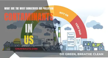 Deadly Air: US's Most Toxic Pollutants
