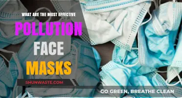 Face Masks for Pollution: Which Ones Work Best?