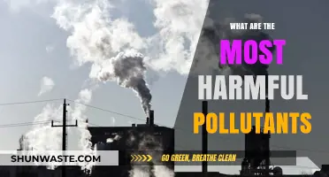 Deadly Pollutants: Understanding the Most Harmful Toxins
