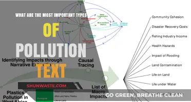 Understanding Key Pollution Types and Their Impact