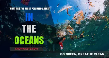 Ocean Pollution: The Most Toxic Zones