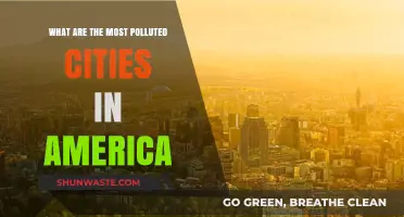 American Cities: Pollution's Worst Offenders