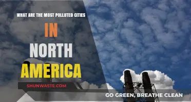 Air Pollution's Worst Offenders in North America