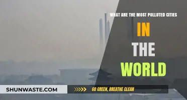 World's Most Polluted Cities: A Toxic Reality