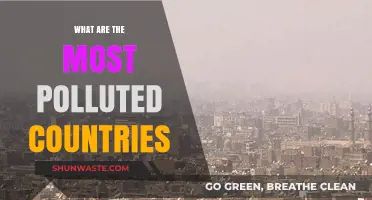 Polluted Countries: The Worst Air Quality Offenders