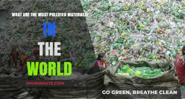 World's Most Polluted Materials: A Toxic Legacy