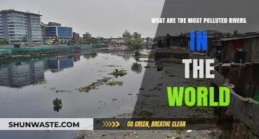 World's Most Polluted Rivers: A Troubling Overview