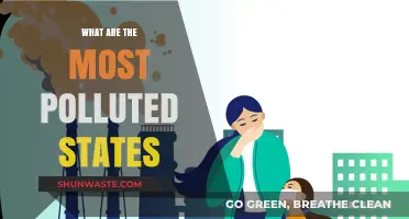 Polluted States: The Worst Air and Water Quality Offenders