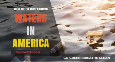 America's Most Polluted Waters: A Troubling Overview