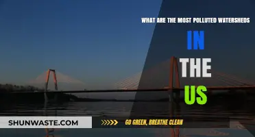America's Most Polluted Watersheds: A Troubling Overview