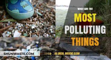 Human Activities: Most Polluting Things