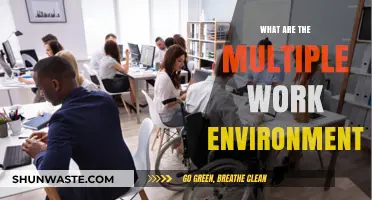 Exploring Diverse Work Environments: From Offices to Remote Spaces