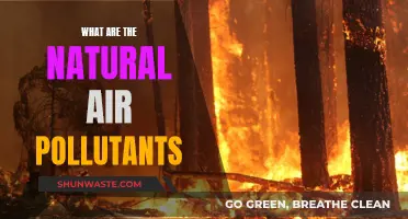 Natural Air Pollutants: The Silent Killers