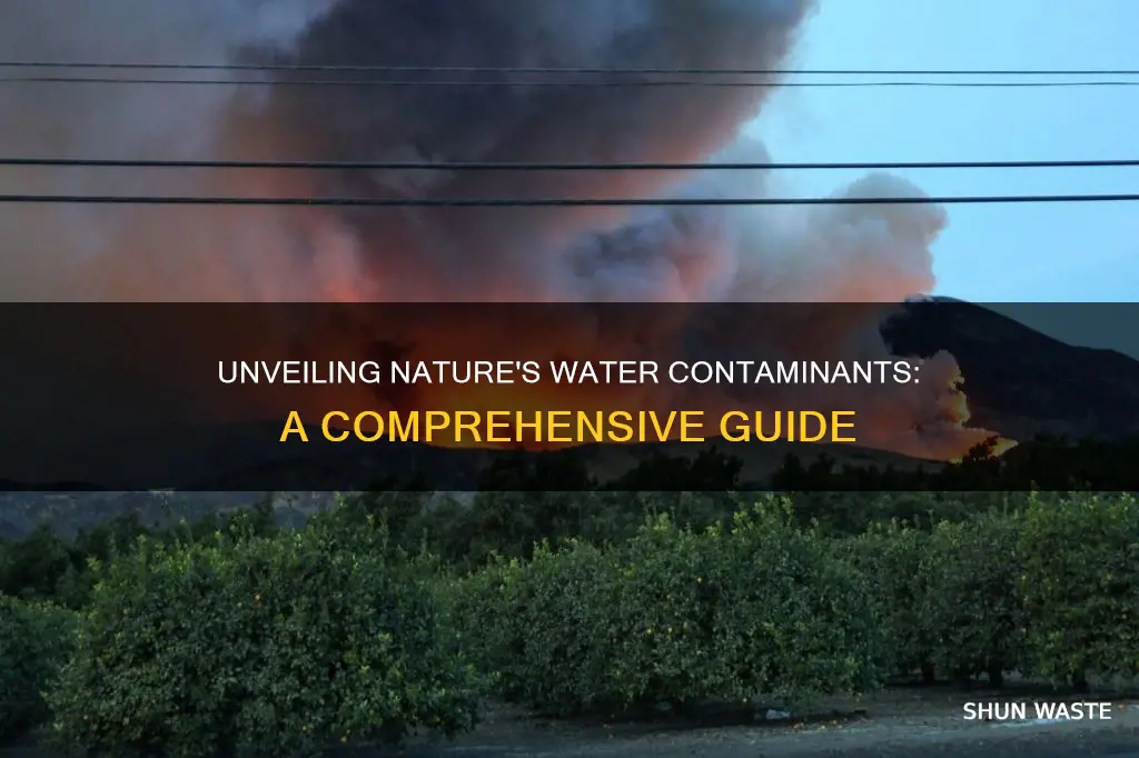 what are the natural causes of water pollution