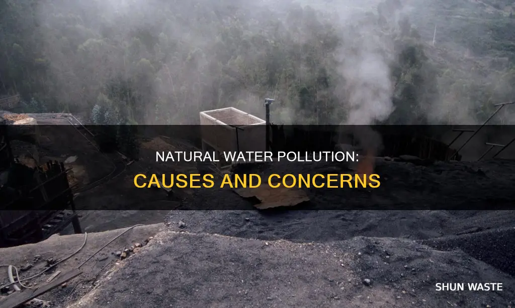 what are the natural causes of water pollution