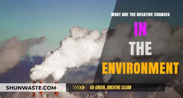 Environmental Decline: Exploring the Devastating Impacts of Human Neglect