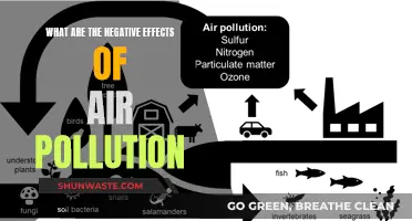 Air Pollution: Damaging Our Health and Environment