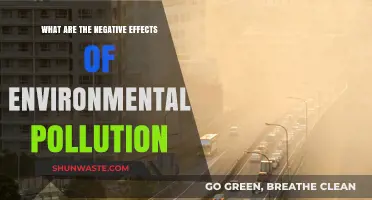 Environmental Pollution: Understanding Its Harmful Effects