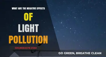Light Pollution: Dark Side of Artificial Lights