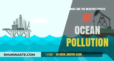 Ocean Pollution: Devastating Impacts on Marine Life and Ecosystems