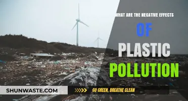 Plastic Pollution: Harming Our Planet and Health