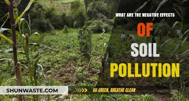 Soil Pollution: Understanding its Harmful Impact