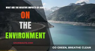 Dams' Environmental Toll: Ecosystem Disruption, Biodiversity Loss, and Habitat Destruction