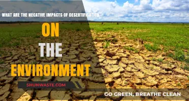 Desertification's Devastating Effects: Environmental Degradation and Ecosystem Collapse Explained