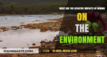 Mining's Environmental Toll: Habitat Destruction, Pollution, and Ecosystem Collapse