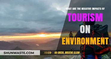 Tourism's Dark Side: Environmental Degradation and Ecosystem Destruction Explained
