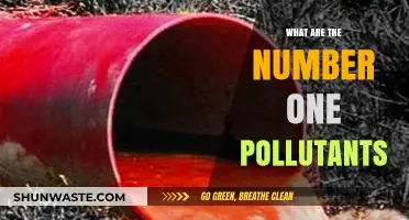 Major Pollutants: Understanding the Top Contaminants